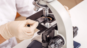A hematologist studying a slide on a compound microscope.